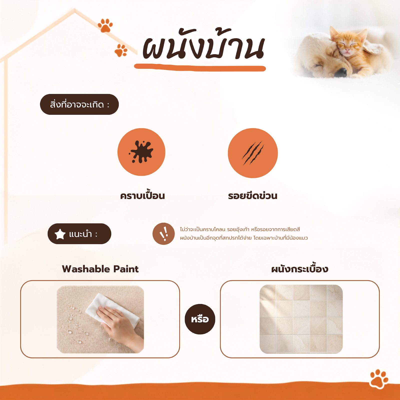 บ้าน Pet Friendly เลือกวัสดุอย่างไรให้ถูกใจสี่ขา เช็กลิสต์แต่งบ้านฉบับทาส
