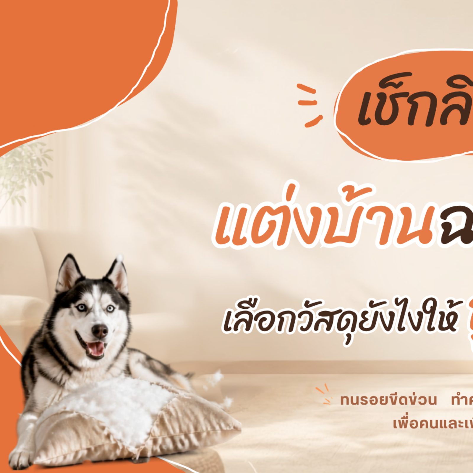 บ้าน Pet Friendly เลือกวัสดุอย่างไรให้ถูกใจสี่ขา เช็กลิสต์แต่งบ้านฉบับทาส