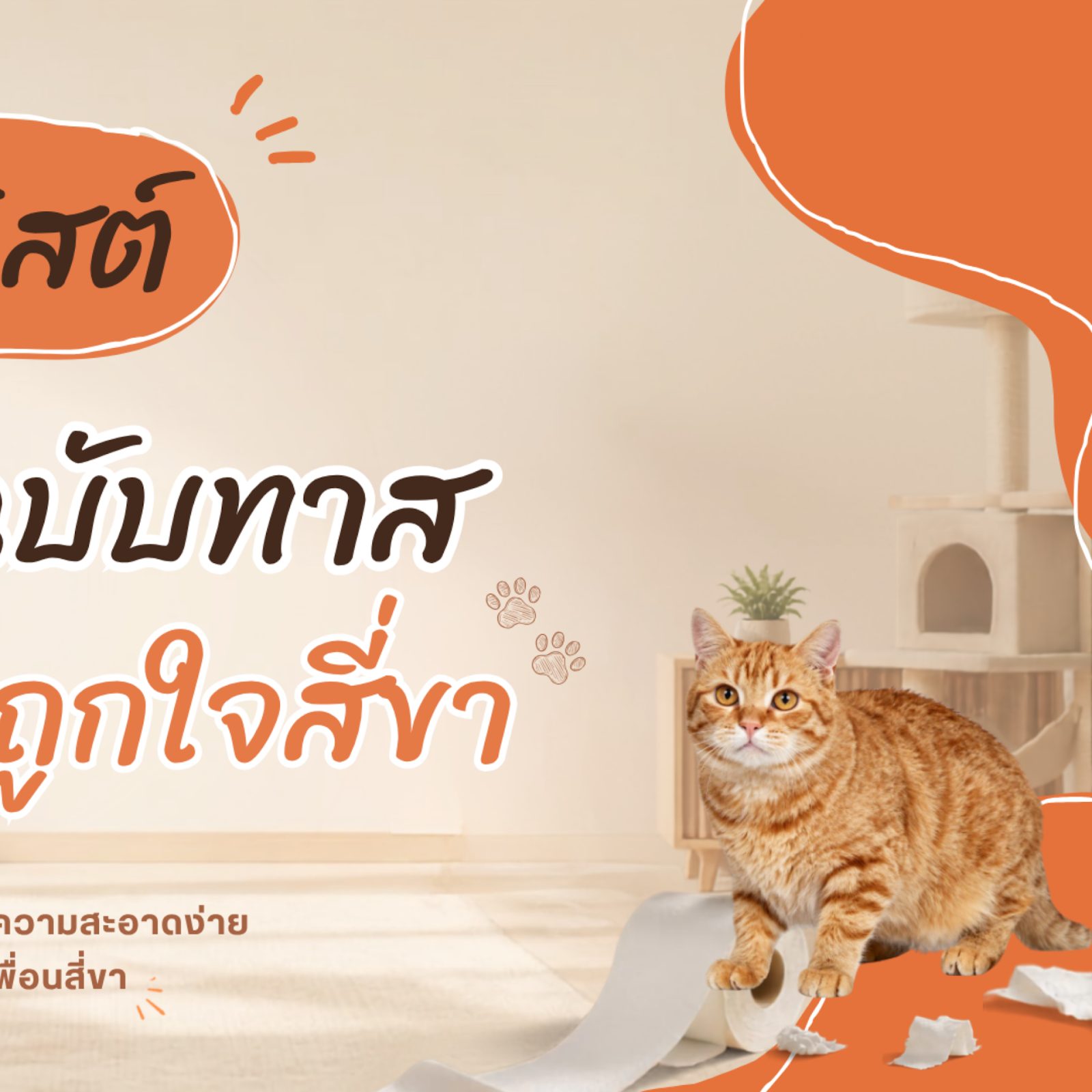 บ้าน Pet Friendly เลือกวัสดุอย่างไรให้ถูกใจสี่ขา เช็กลิสต์แต่งบ้านฉบับทาส