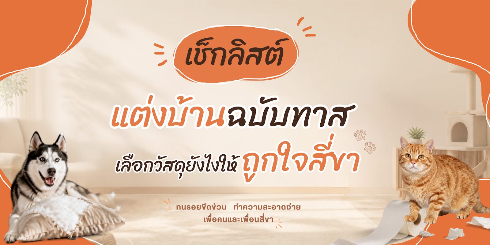 บ้าน Pet Friendly เลือกวัสดุอย่างไรให้ถูกใจสี่ขา เช็กลิสต์แต่งบ้านฉบับทาส